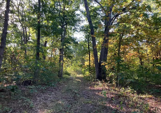 Photo 1 of Sale Pending at 0 Cr 250, Bethel, MO 63434 | MLS# 24061450 | Listing updated on 2024-12-18