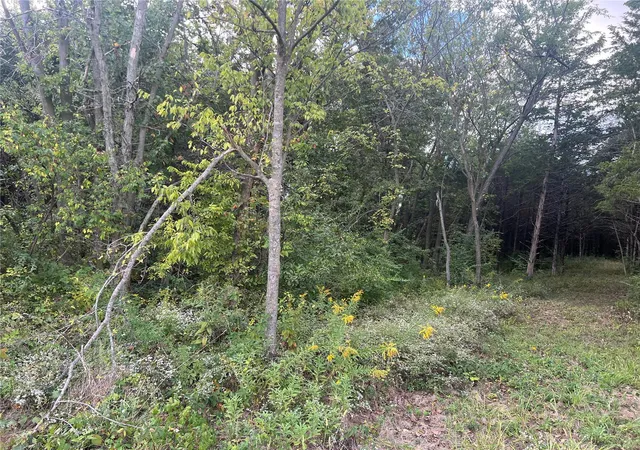 Homes for sale in Maywood, MO | 13 Red Oak Rd, Maywood, MO 63454 | MLS# 24061555