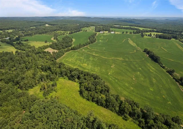 13th image of 29895 Shady Lane Rd, Fredericktown, MO 63645 | MLS# 24061656