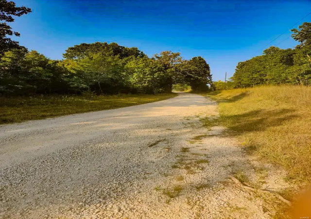 Photo 4 of Land for sale at 0 Robin Rd, Bellflower, MO 63333 | MLS# 24061879 | Listing updated on 2025-03-06