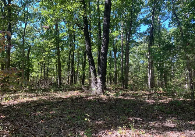 Photo 1 of Land for sale at 0 Tbd Red Bud, Fulton, MO 65251 | MLS# 24062071 | Listing updated on 2024-10-08