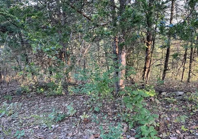 Photo 1 of Land for sale at 40 Lake Shore Dr N, New Florence, MO 63363 | MLS# 24063769 | Listing updated on 2024-10-09