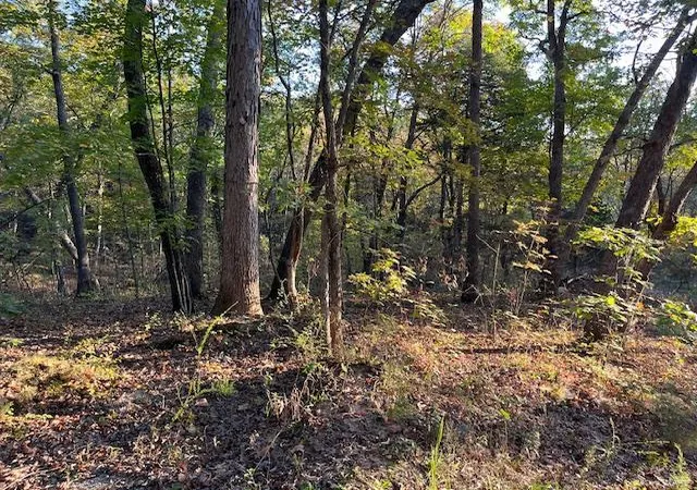 Photo 1 of Land for sale at 8 Oak Dr, New Florence, MO 63363 | MLS# 24063771 | Listing updated on 2024-10-09