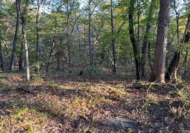 Photo 2 of Land for sale at 8 Oak Dr, New Florence, MO 63363 | MLS# 24063771 | Listing updated on 2024-10-09