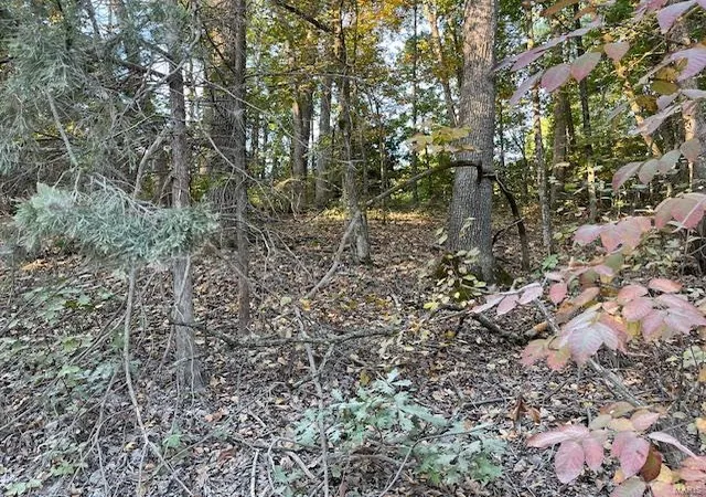 Photo 1 of Sale Pending at 19 Rocky Ridge Dr, New Florence, MO 63363 | MLS# 24063772 | Listing updated on 2024-12-13