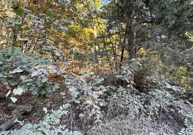 Photo 2 of Land for sale at 7 Rocky Ridge Dr, New Florence, MO 63363 | MLS# 24063775 | Listing updated on 2024-10-09
