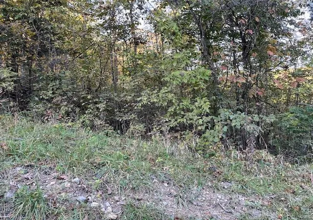 Photo 1 of Land for sale at 75 N Skyline Dr, New Florence, MO 63363 | MLS# 24063776 | Listing updated on 2024-10-09