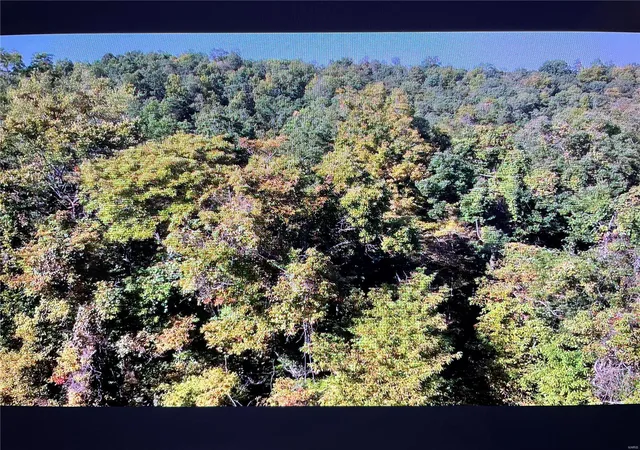 Photo 8 of Land for sale at 0 County Road 261, Advance, MO 63730 | MLS# 24063823 | Listing updated on 2025-03-14