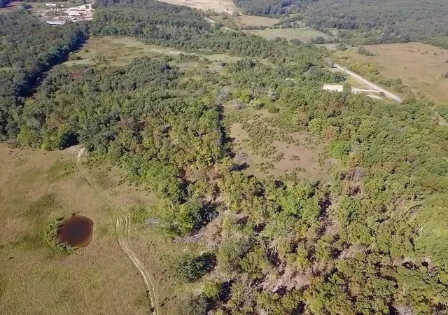Photo 1 of Land for sale at 0 County Rd 21s 5, Van Buren, MO 63965 | MLS# 24064562 | Listing updated on 2024-10-21