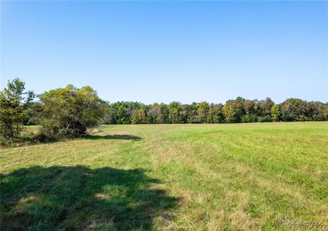 Homes for sale in West Plains, MO | 5275 County Road 9720, West Plains, MO 65775 | MLS# 24064917