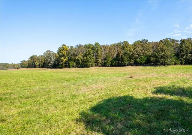 Homes for sale in West Plains, MO | 5275 County Road 9720, West Plains, MO 65775 | MLS# 24064917