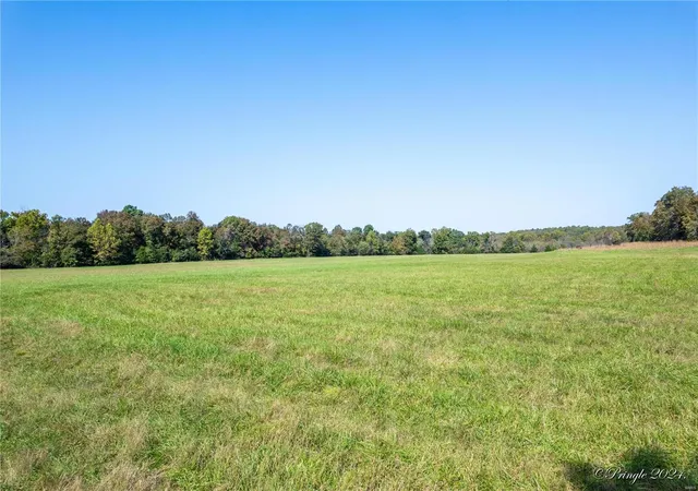 Homes for sale in West Plains, MO | 5275 County Road 9720, West Plains, MO 65775 | MLS# 24064917