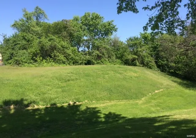Land for sale at 4648 Hamburg Ave, Saint Louis, MO 63123 | MLS# 24065241