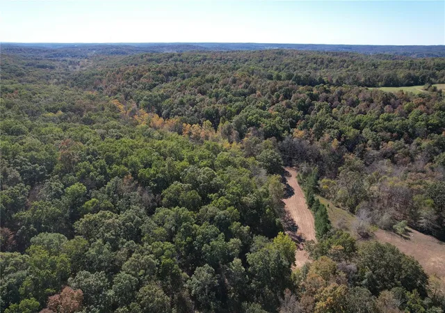 Photo 1 of Land for sale at 14383 Bcr 300, Marble Hill, MO 63764 | MLS# 24065519 | Listing updated on 2025-03-01