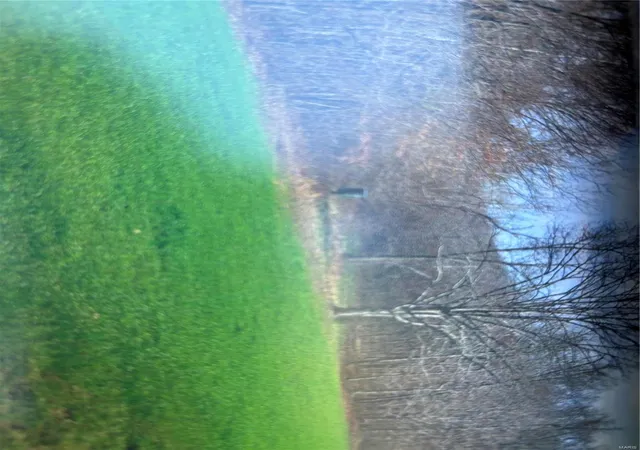Photo 39 of Land for sale at 14383 Bcr 300, Marble Hill, MO 63764 | MLS# 24065519 | Listing updated on 2025-03-01
