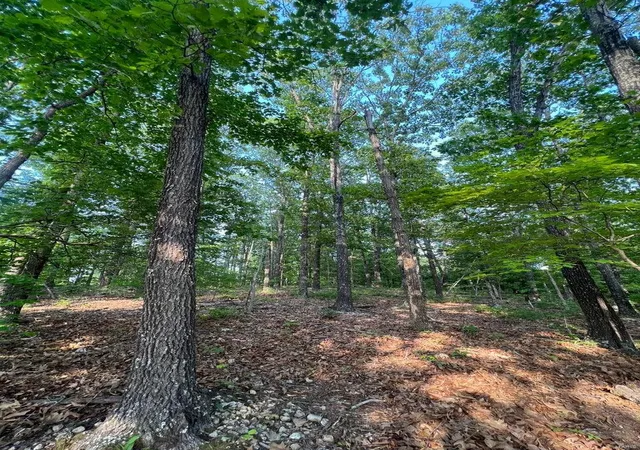Photo 17 of Land for sale at 0 County Road 553a, Gainesville, MO 65655 | MLS# 24065551 | Listing updated on 2024-10-16