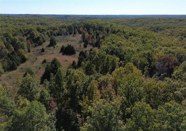 Photo 2 of Land for sale at 0 Devils Well Rd, Salem, MO 65560 | MLS# 24065721 | Listing updated on 2024-10-18