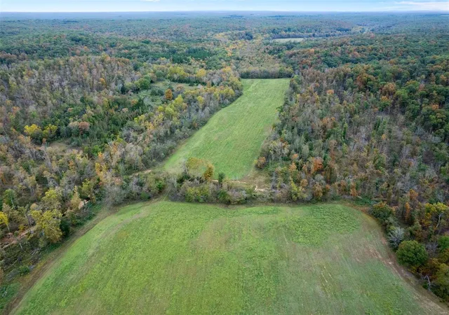 Homes for sale in Marble Hill, MO | 0 County Road 510, Marble Hill, MO 63764 | MLS# 24066645