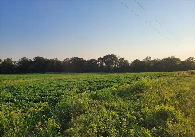 Photo 2 of Land for sale at 0 Hwy Dd (3753+/  Ac) Tract F, Bellflower, MO 63333 | MLS# 24066780 | Listing updated on 2024-10-23