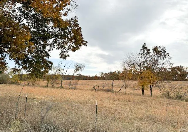 Homes for sale in Saint James, MO | 0 County Road 2100, Saint James, MO 65559 | MLS# 24067238