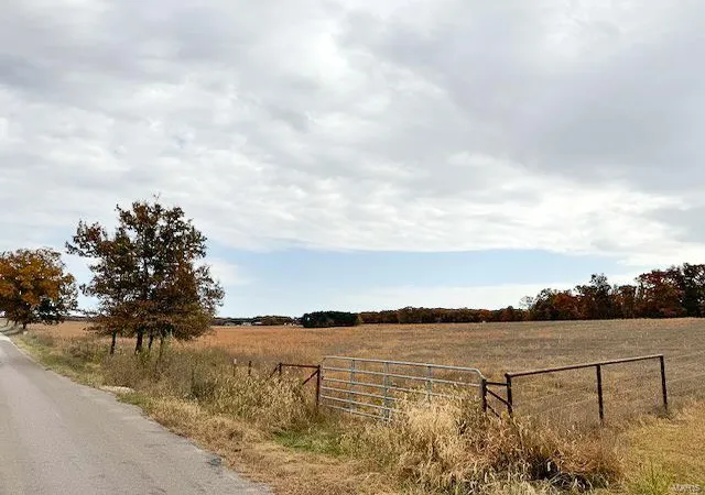 Homes for sale in Saint James, MO | 0 County Road 2100, Saint James, MO 65559 | MLS# 24067238
