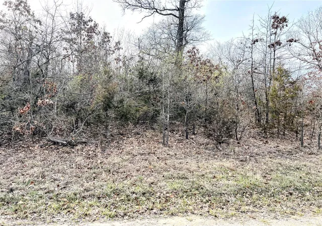 Photo 3 of Land for sale at 5 Rue Orleans, Bonne Terre, MO 63628 | MLS# 24067717 | Listing updated on 2024-10-28