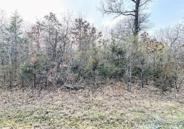 Photo 3 of Land for sale at 5 Rue Orleans, Bonne Terre, MO 63628 | MLS# 24067717 | Listing updated on 2024-10-28