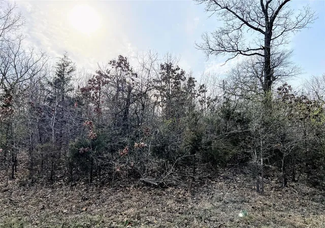 Photo 4 of Land for sale at 5 Rue Orleans, Bonne Terre, MO 63628 | MLS# 24067717 | Listing updated on 2024-10-28