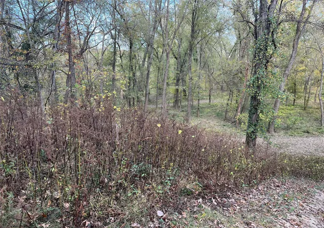 Photo 3 of House for sale at 0 Joachim Crk Acreage, Eureka, MO 63025 | MLS# 24067753 | Listing updated on 2024-12-14