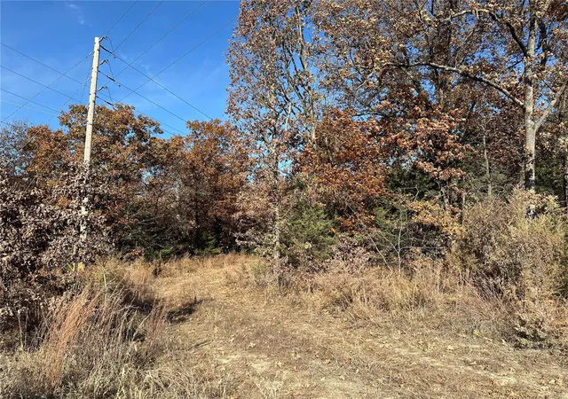 Photo 11 of Land for sale at 0 Hwy V Rd #TRACT 2, Owensville, MO 65066 | MLS# 24068260 | Listing updated on 2024-10-30