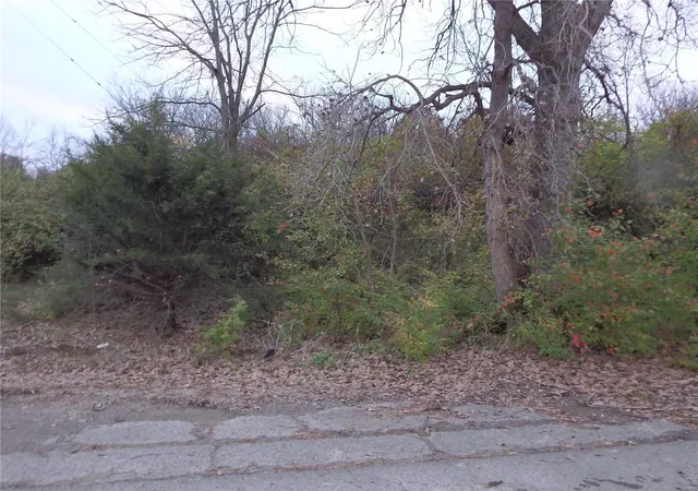 Photo 3 of Land for sale at 0 Old Hwy 79, Old Monroe, MO 63369 | MLS# 24068333 | Listing updated on 2024-11-26