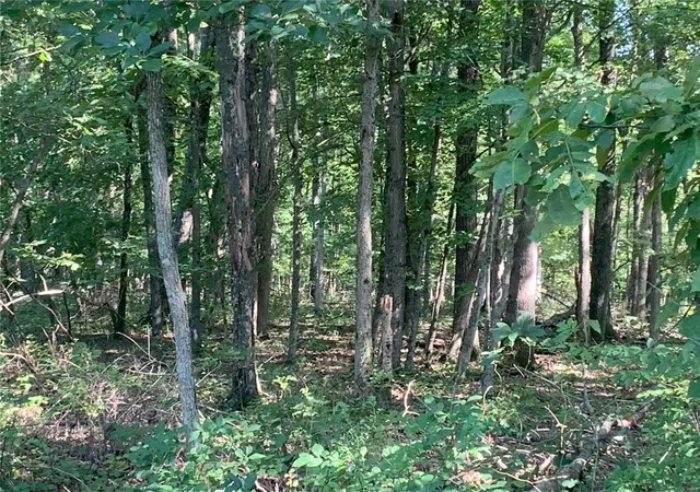 Photo 3 of Land for sale at 25 Polston Ln, Marthasville, MO 63357 | MLS# 24068410 | Listing updated on 2024-10-31