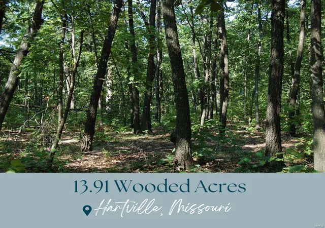 Photo 1 of Land for sale at 0 Creek Rd, Hartville, MO 65667 | MLS# 24068438 | Listing updated on 2024-11-01