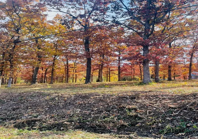 Photo 1 of Land for sale at 0 Krausetown Rd, Owensville, MO 65066 | MLS# 24068543 | Listing updated on 2024-10-31