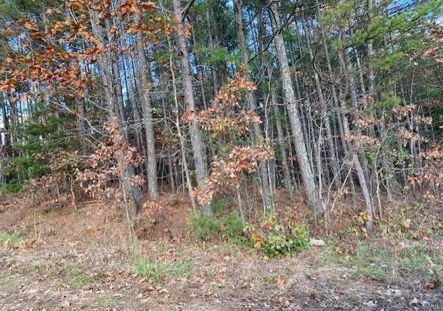 Photo 19 of Sale Pending at 8733 Bcr 914, Patton, MO 63662 | MLS# 24069882 | Listing updated on 2024-11-11