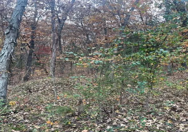 Photo 3 of Land for sale at 0 Hwy A, Bland, MO 65014 | MLS# 24069907 | Listing updated on 2024-11-07