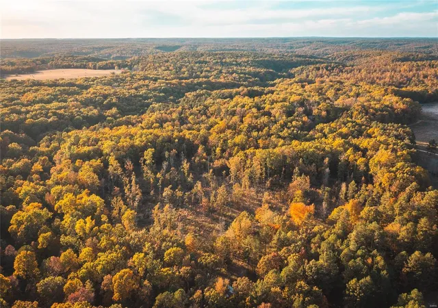 Photo 1 of Land for sale at 22285 Golden Springs Rd, Hartshorn, MO 65479 | MLS# 24069938 | Listing updated on 2024-11-20