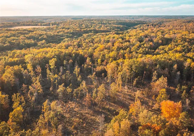 Photo 2 of Land for sale at 22285 Golden Springs Rd, Hartshorn, MO 65479 | MLS# 24069938 | Listing updated on 2024-11-20