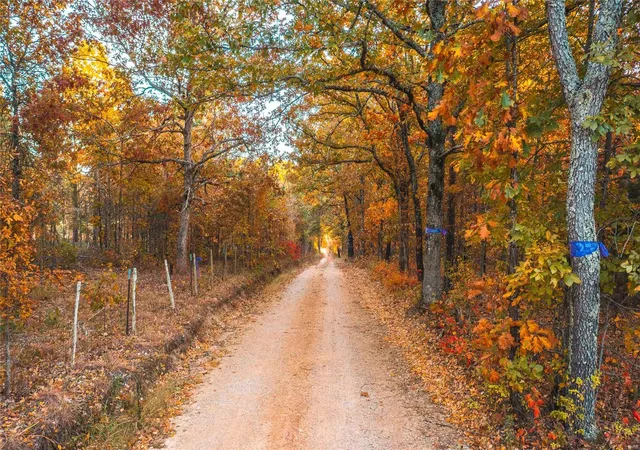 Photo 3 of Land for sale at 22285 Golden Springs Rd, Hartshorn, MO 65479 | MLS# 24069938 | Listing updated on 2024-11-20