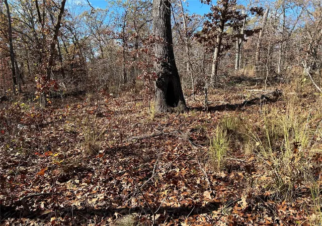 Photo 1 of Land for sale at 0 Partridge Dr, Climax Springs, MO 65324 | MLS# 24070299 | Listing updated on 2024-11-18