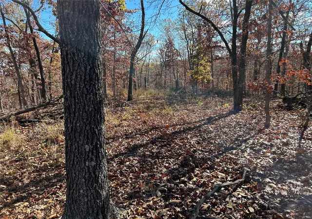 Photo 2 of Land for sale at 0 Partridge Dr, Climax Springs, MO 65324 | MLS# 24070299 | Listing updated on 2024-11-18