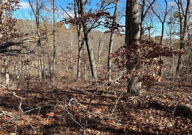 Photo 7 of Land for sale at 0 Partridge Dr, Climax Springs, MO 65324 | MLS# 24070299 | Listing updated on 2024-11-18