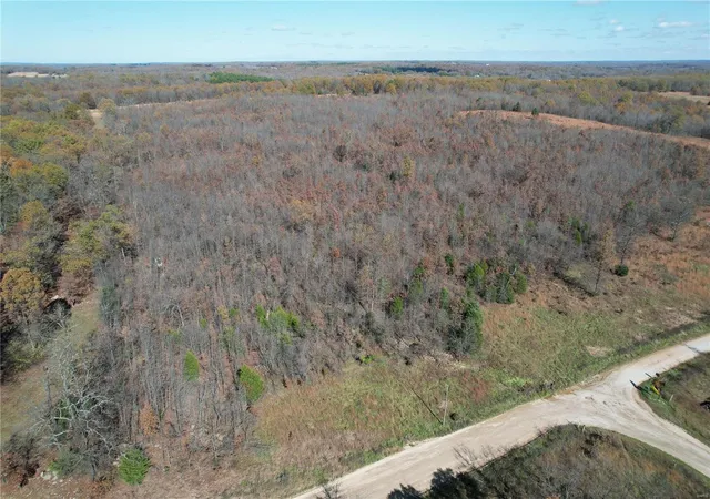 Homes for sale in Mountain View, MO | 0 County Road 2780, Mountain View, MO 65548 | MLS# 24070520