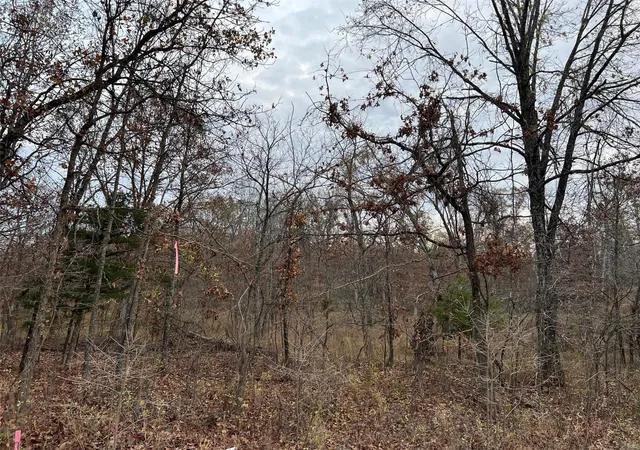 Photo 1 of Sale Pending at 0 Partridge, Climax Springs, MO 65324 | MLS# 24070523 | Listing updated on 2025-03-07