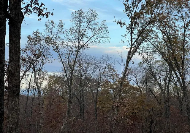 Photo 7 of Sale Pending at 0 Partridge, Climax Springs, MO 65324 | MLS# 24070523 | Listing updated on 2025-03-07