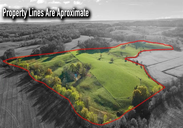 Photo 1 of Land for sale at 0 48+/  Acres Off Of Cr 227, Cape Girardeau, MO 63701 | MLS# 24070639 | Listing updated on 2024-11-13