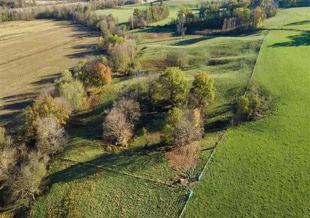 Photo 3 of Land for sale at 0 48+/  Acres Off Of Cr 227, Cape Girardeau, MO 63701 | MLS# 24070639 | Listing updated on 2024-11-13