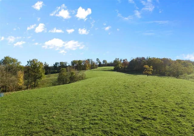 Photo 3 of House for sale at 0 48+/- Acres Off Of Cr 227, Cape Girardeau, MO 63701 | MLS# 24070639 | Listing updated on 2024-11-13