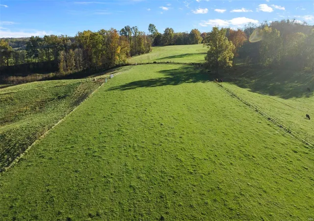 Photo 4 of House for sale at 0 48+/- Acres Off Of Cr 227, Cape Girardeau, MO 63701 | MLS# 24070639 | Listing updated on 2024-11-13
