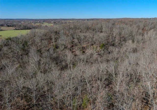 Photo 28 of Land for sale at 81 Indian Creek Loop, Buffalo, MO 65622 | MLS# 24071665 | Listing updated on 2024-11-21